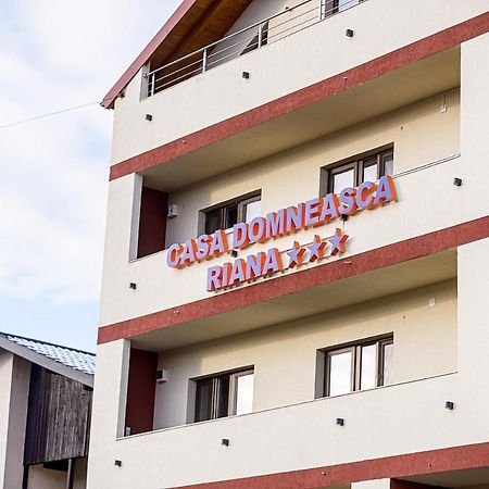 皮特什蒂 Casa Domneasca Riana酒店 外观 照片